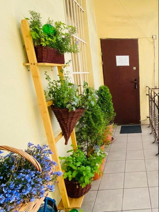 Miodowa Kazimierz Apartment Cracovia Exterior foto